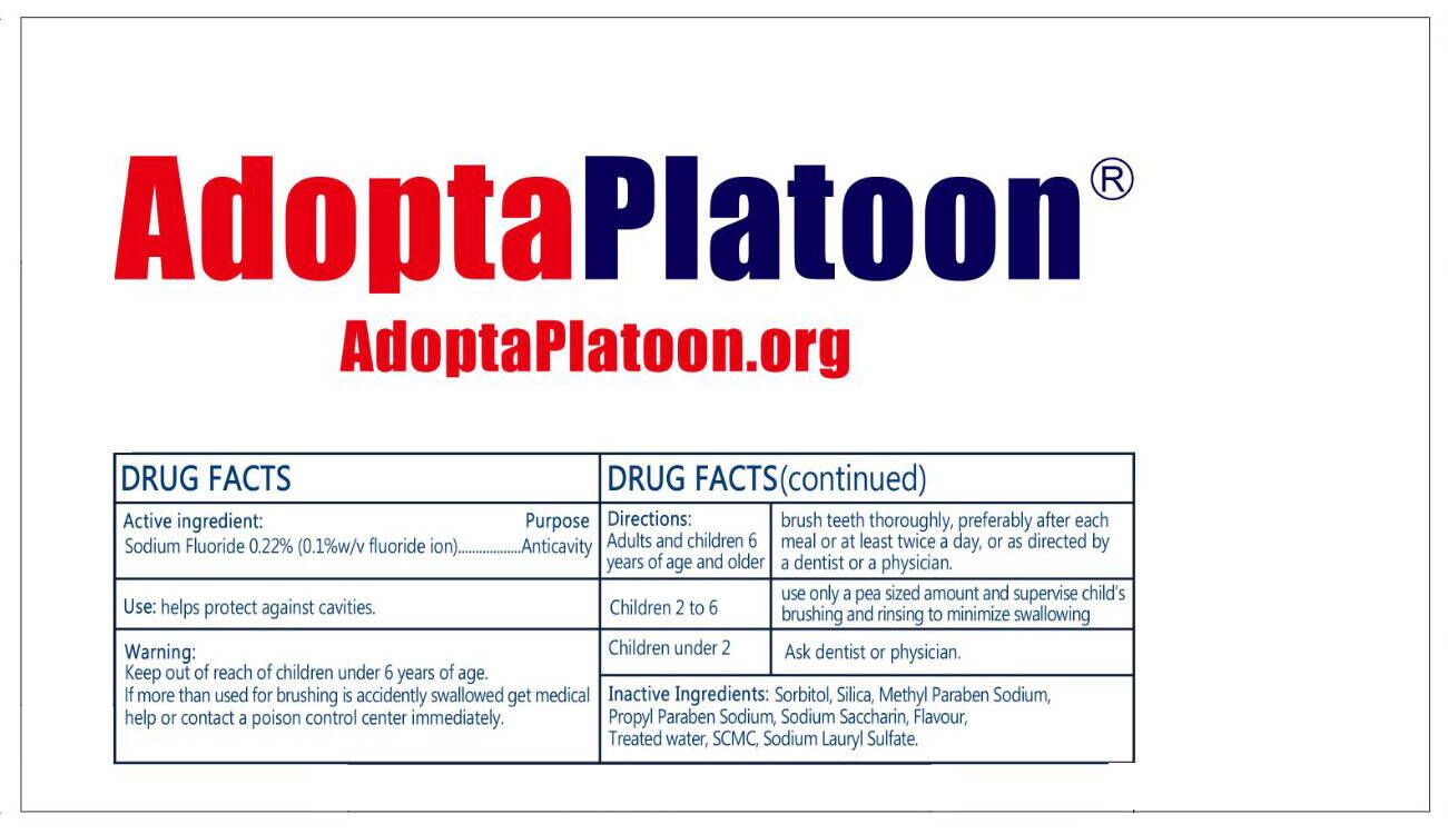 Adoptaplatoon